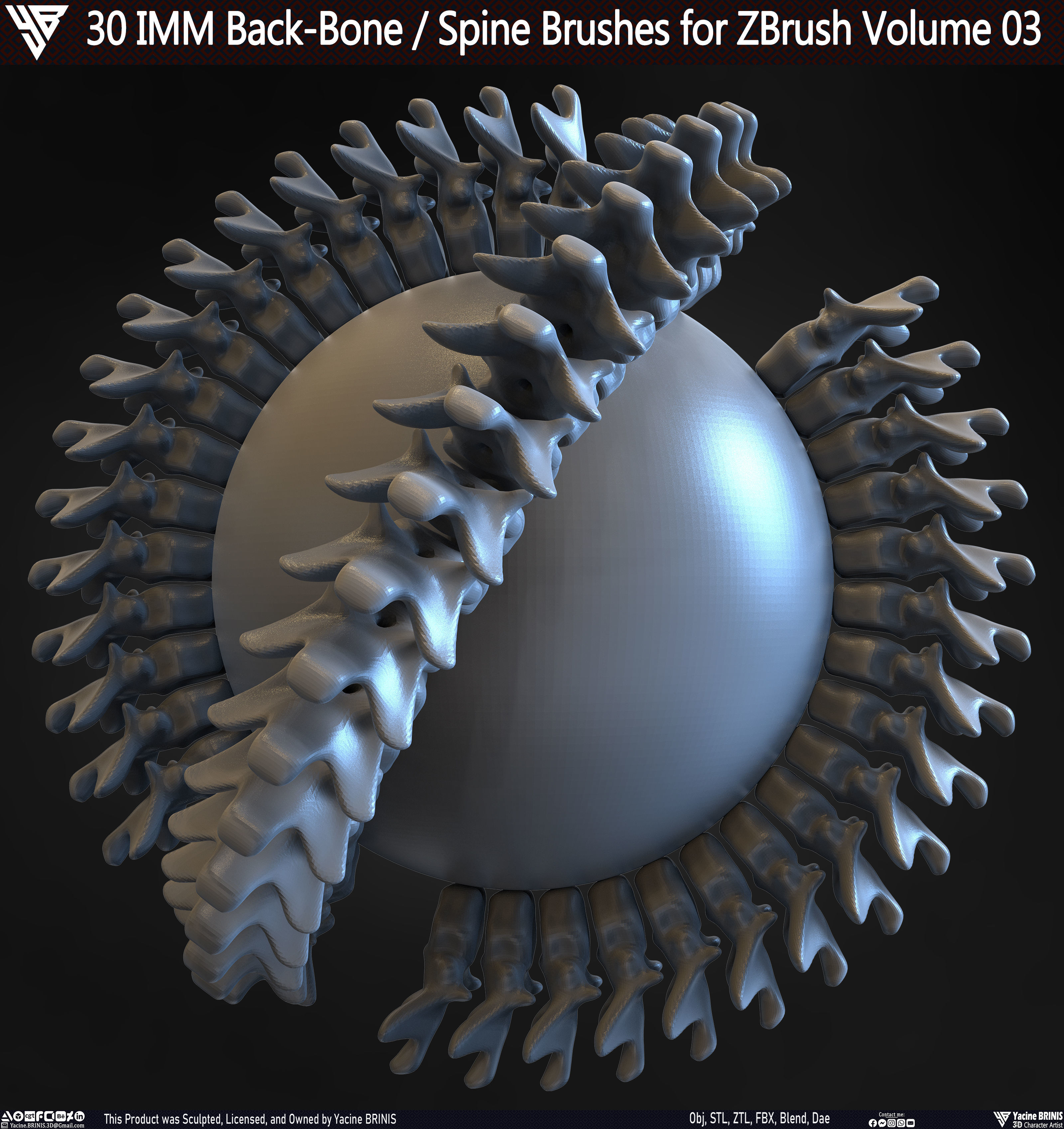 30 IMM Back-Bone - Spine ZBrush Brush Volume 03 Low-poly 3D model_31