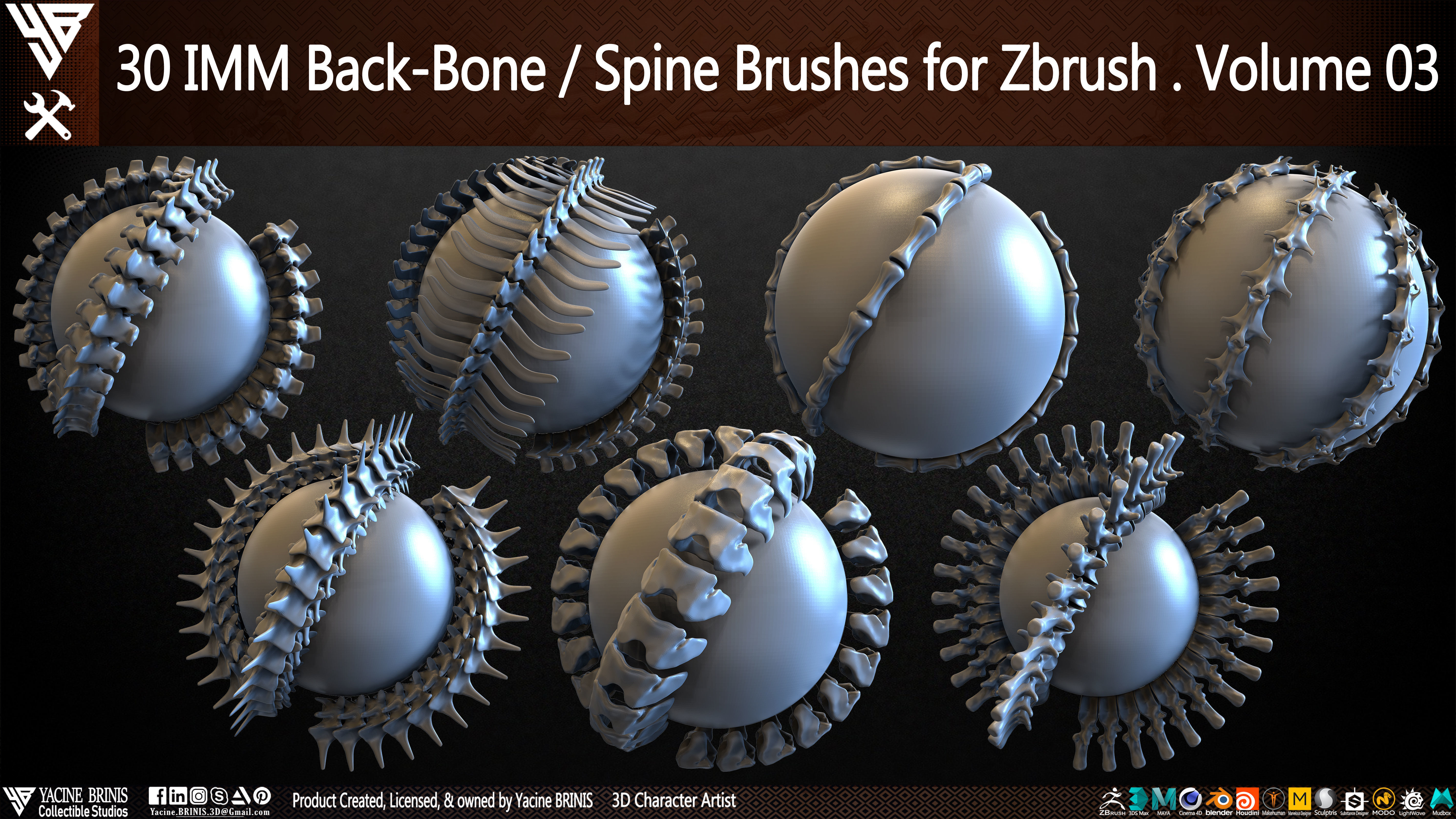 30 IMM Back-Bone - Spine ZBrush Brush Volume 03 Low-poly 3D model_72
