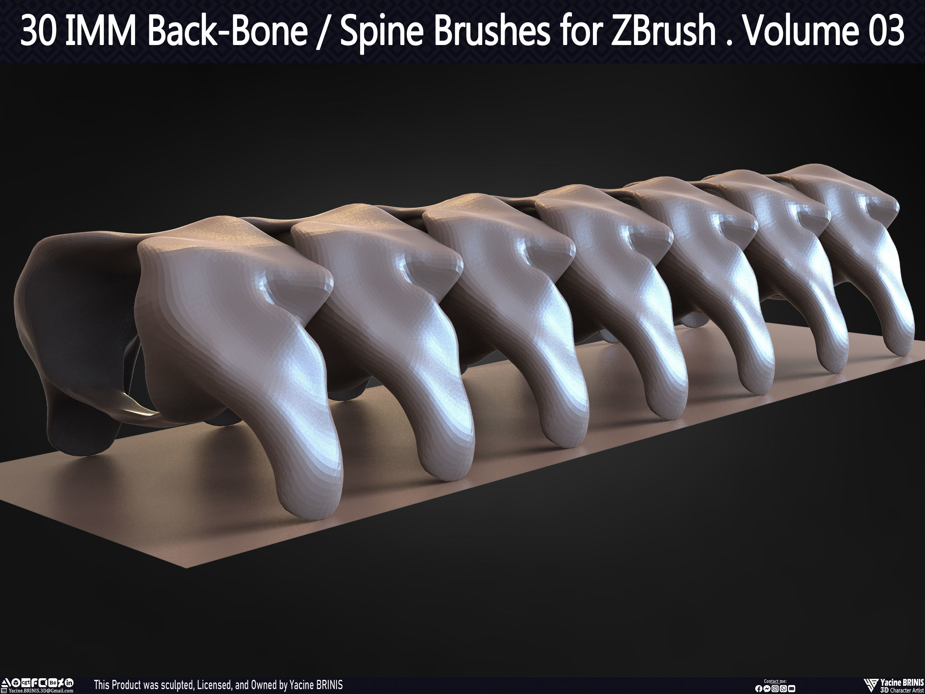 30 IMM Back-Bone - Spine ZBrush Brush Volume 03 Low-poly 3D model_59