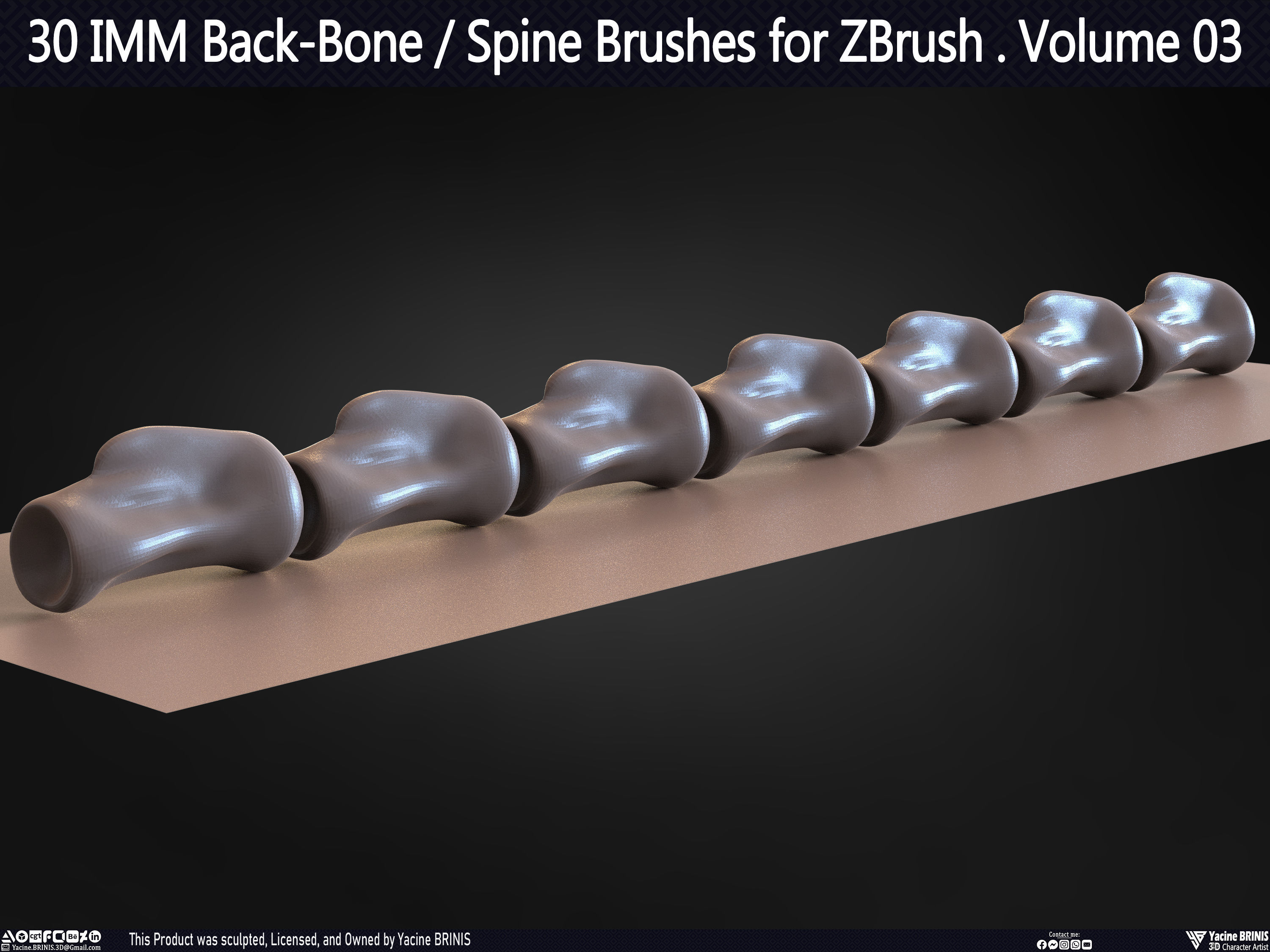 30 IMM Back-Bone - Spine ZBrush Brush Volume 03 Low-poly 3D model_42