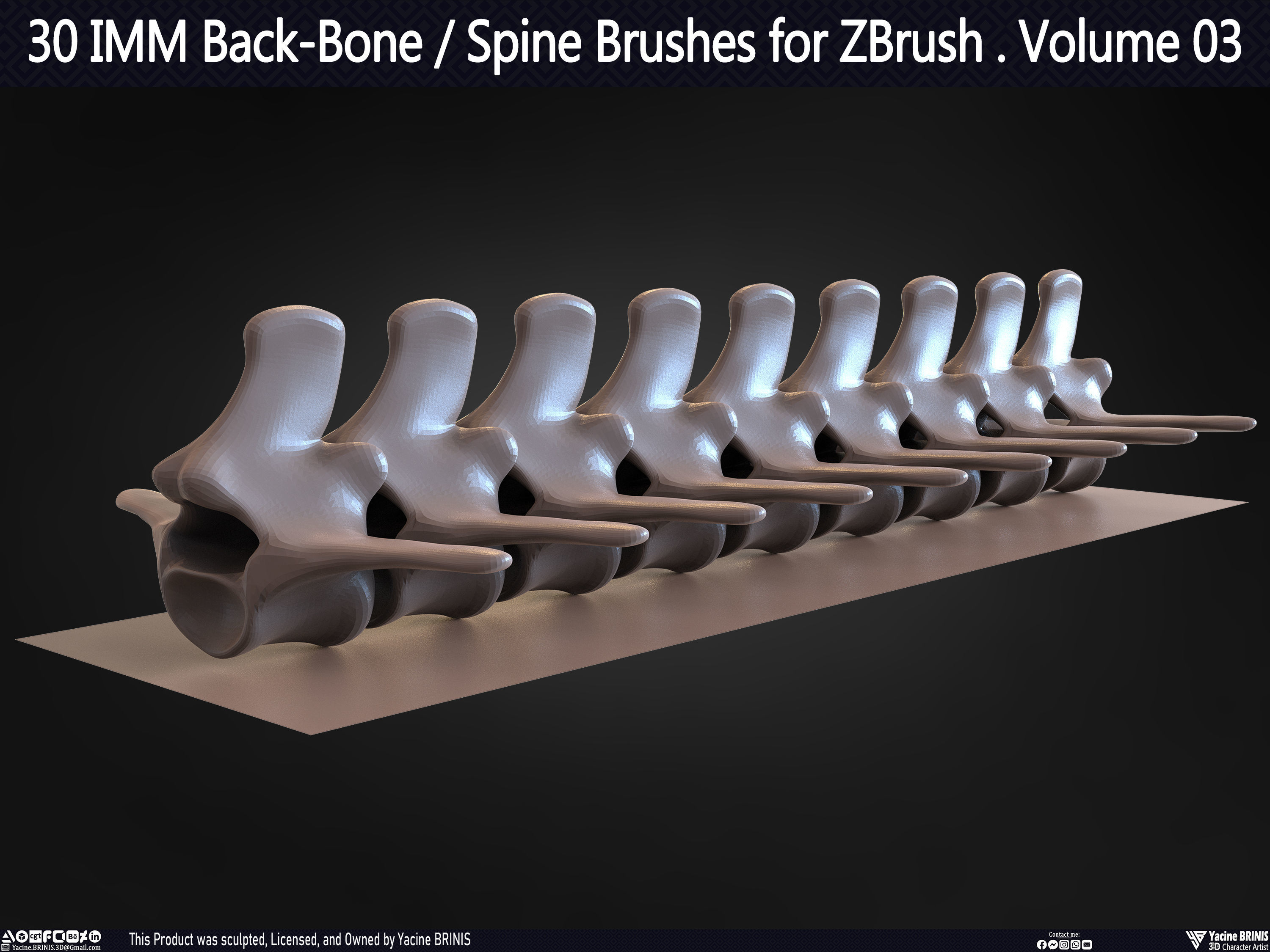 30 IMM Back-Bone - Spine ZBrush Brush Volume 03 Low-poly 3D model_40
