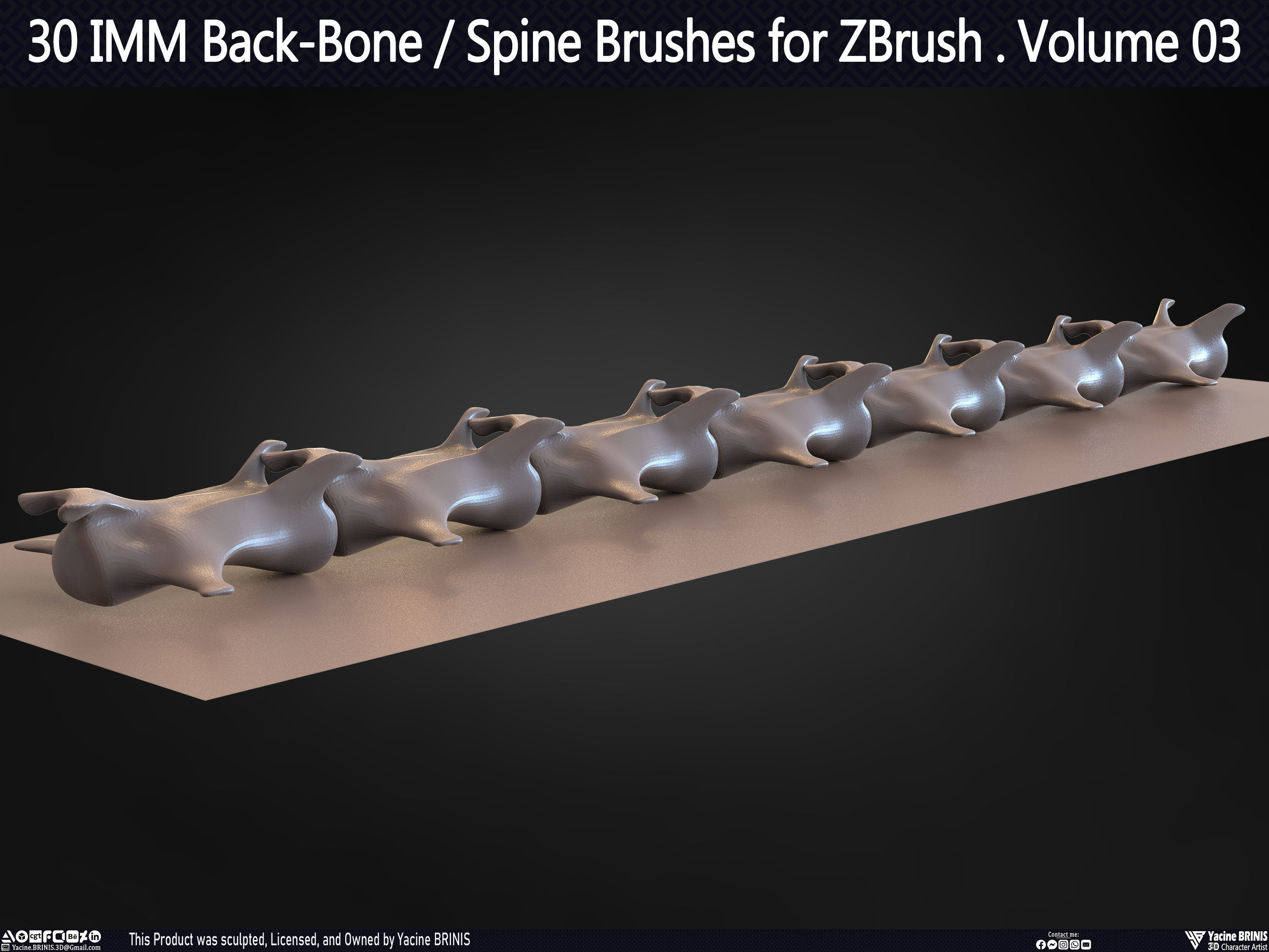 30 IMM Back-Bone - Spine ZBrush Brush Volume 03 Low-poly 3D model_45