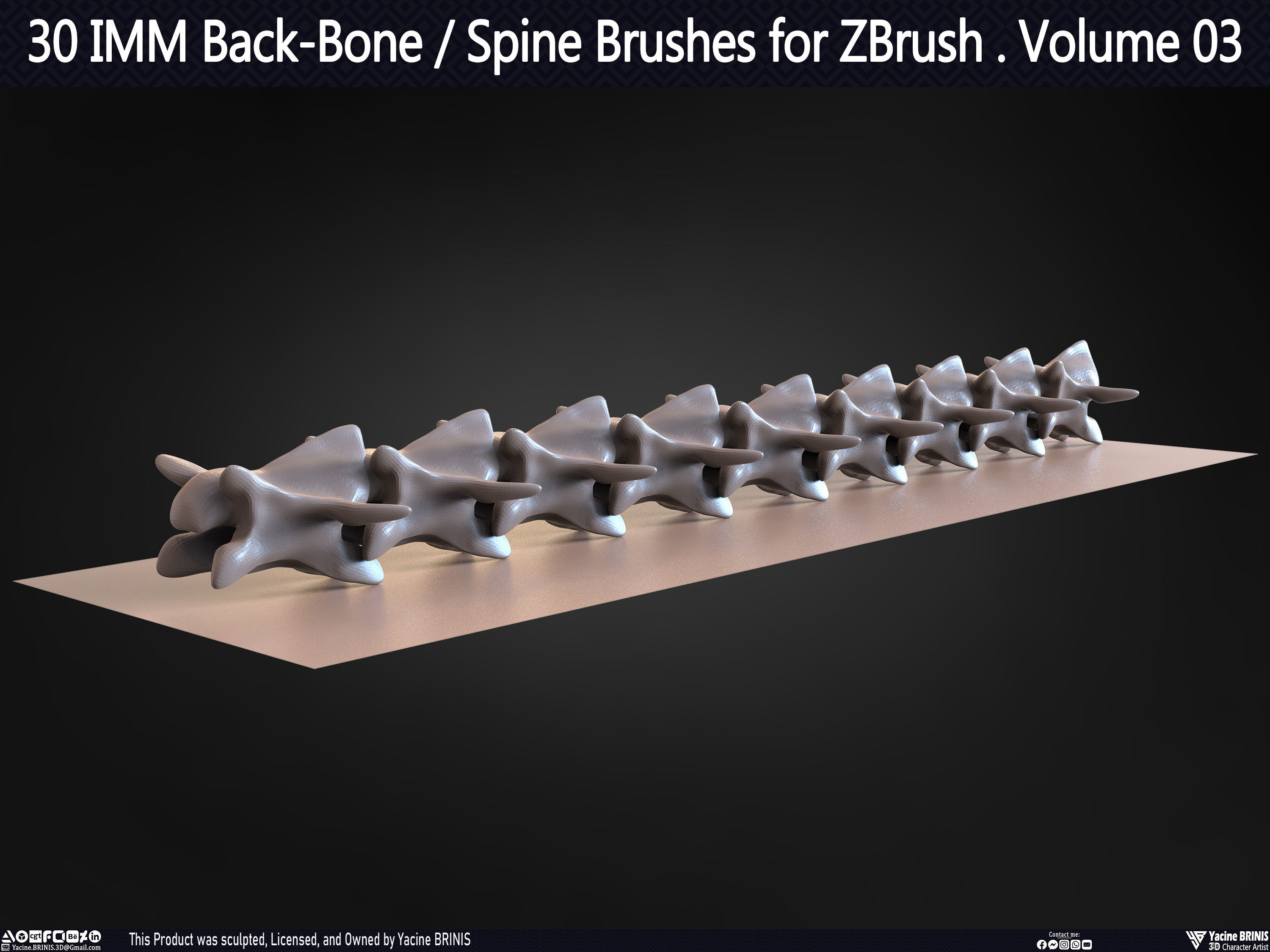 30 IMM Back-Bone - Spine ZBrush Brush Volume 03 Low-poly 3D model_34