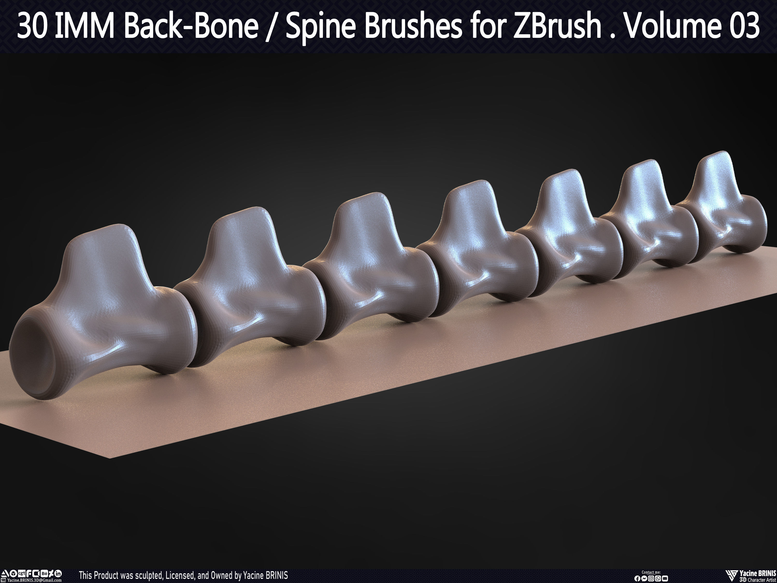 30 IMM Back-Bone - Spine ZBrush Brush Volume 03 Low-poly 3D model_43