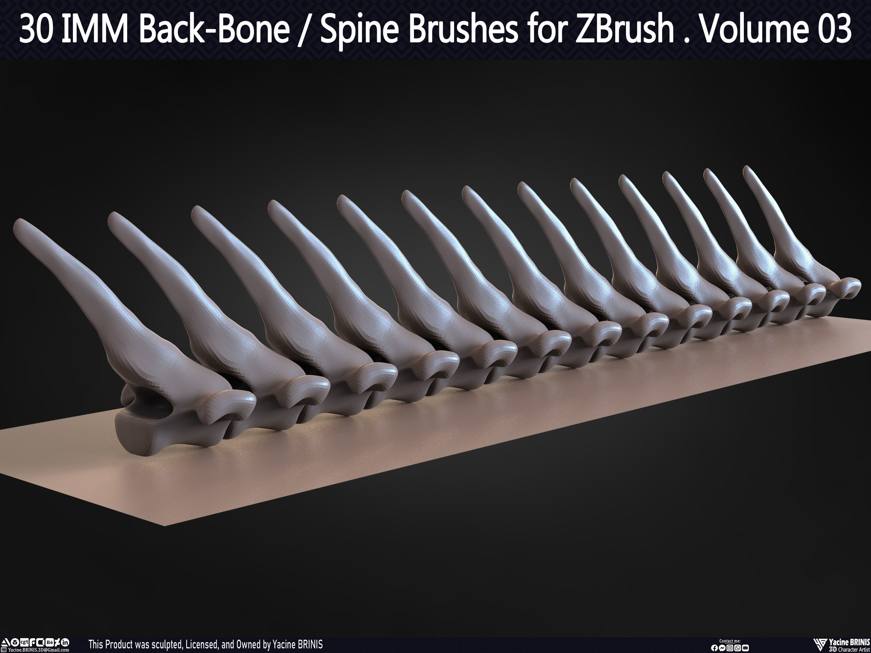 30 IMM Back-Bone - Spine ZBrush Brush Volume 03 Low-poly 3D model_52