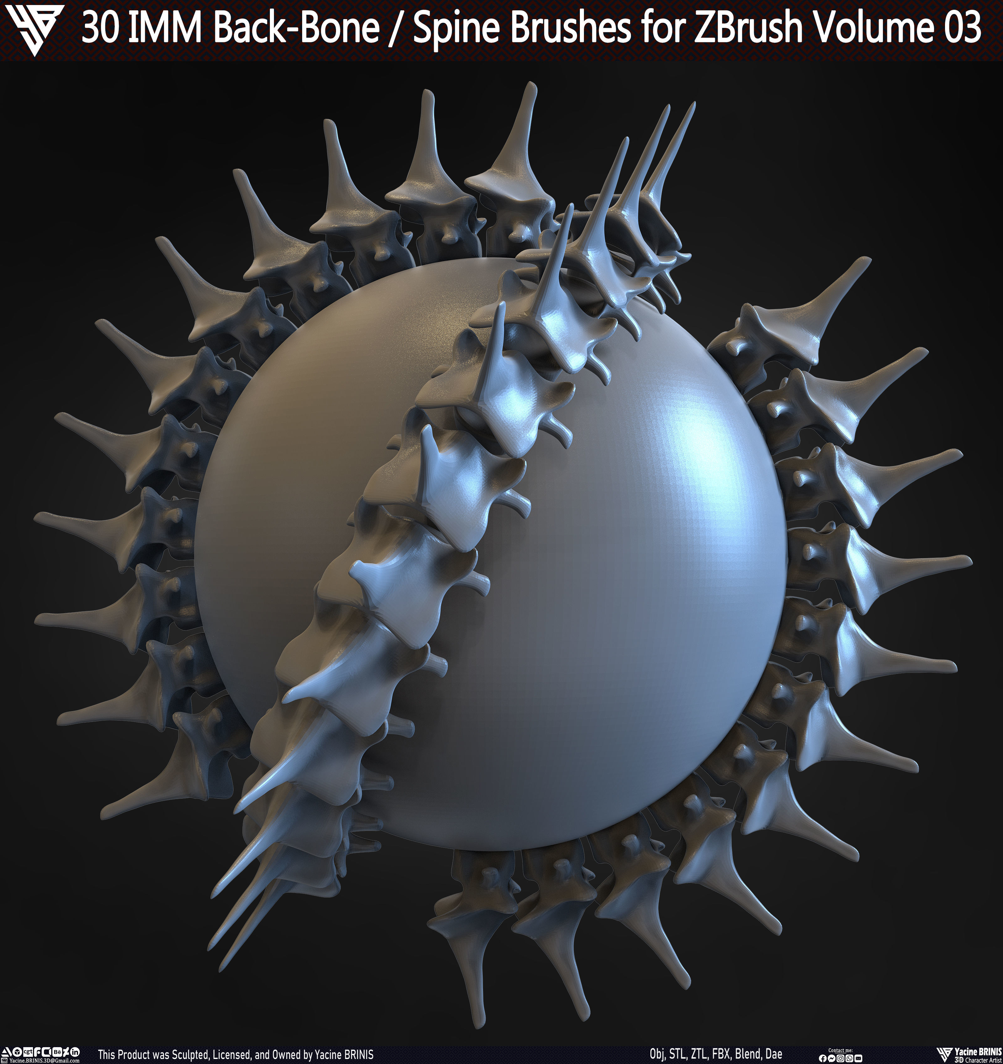 30 IMM Back-Bone - Spine ZBrush Brush Volume 03 Low-poly 3D model_24