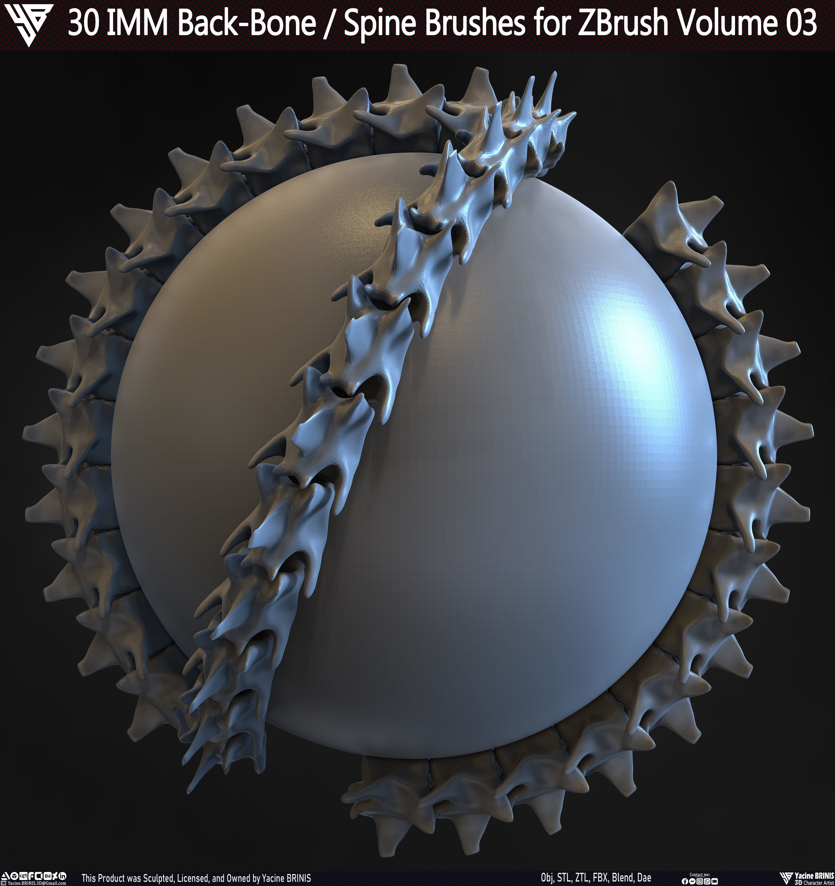 30 IMM Back-Bone - Spine ZBrush Brush Volume 03 Low-poly 3D model_20
