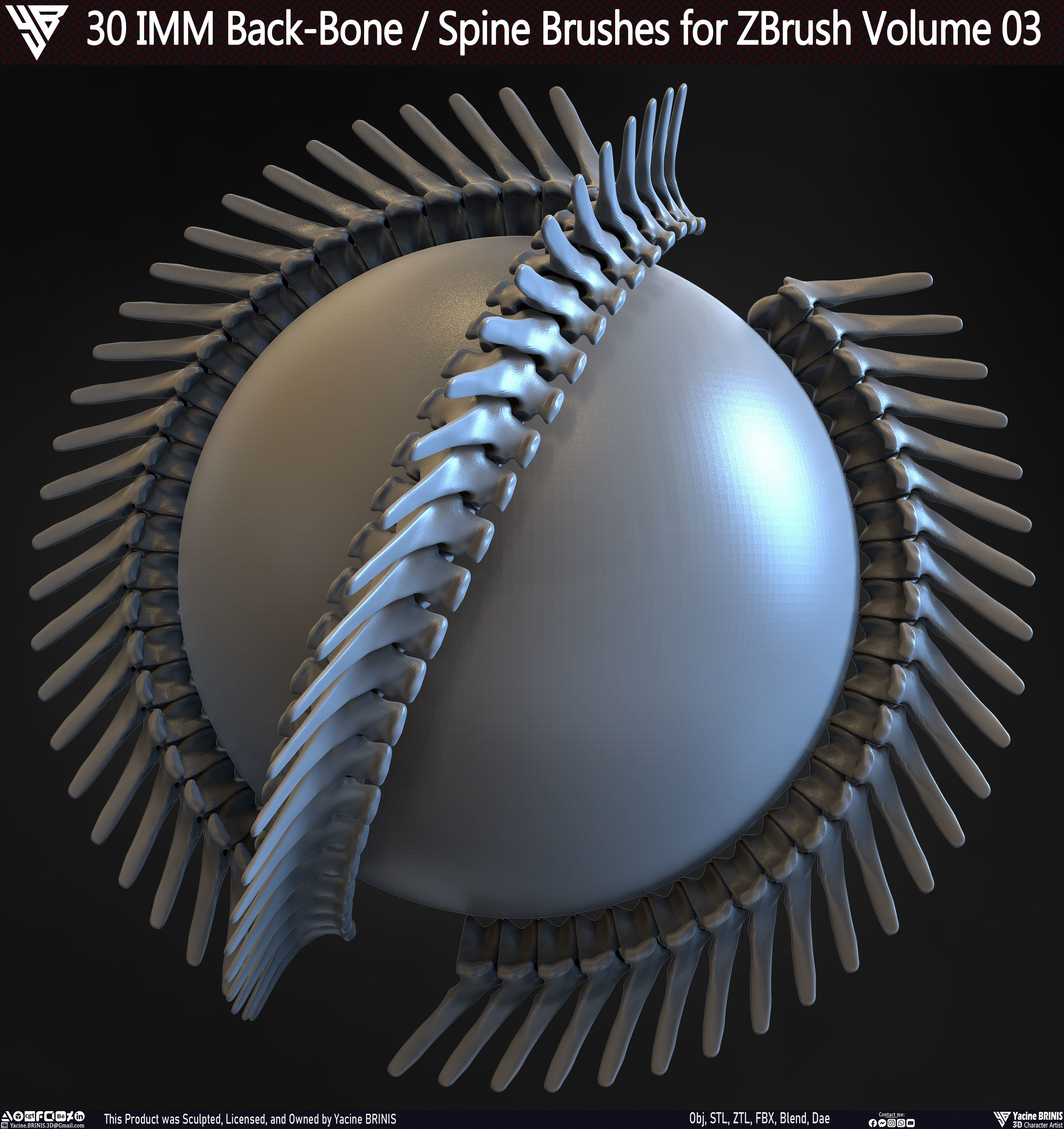 30 IMM Back-Bone - Spine ZBrush Brush Volume 03 Low-poly 3D model_7