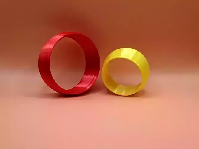 2023-3 Organizer Rings 3D print model