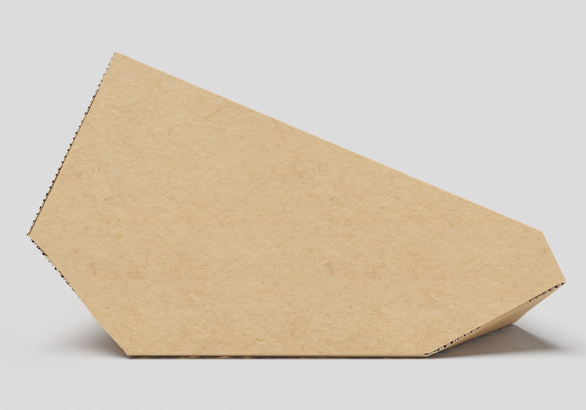 tesla cat bed 3D model_8