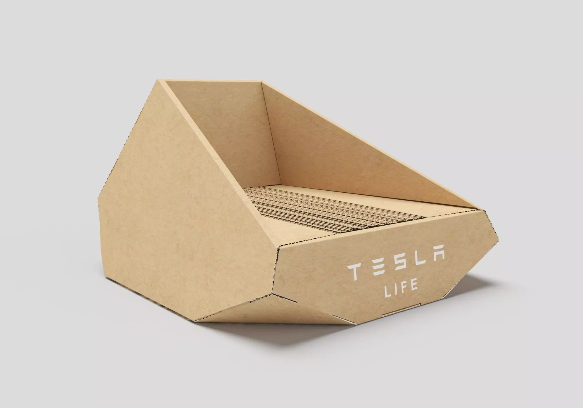 tesla cat bed 3D model_0