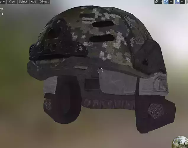 Seal helmet 