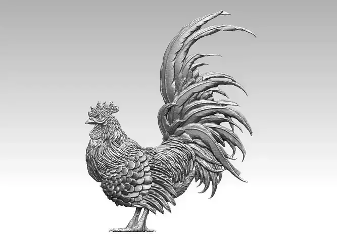 rooster 3D print model