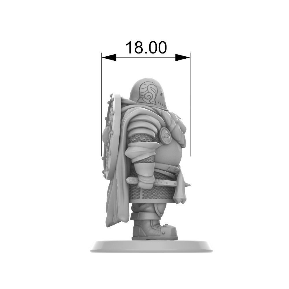 Dwarf cleric fighter 33 mm tabletop miniature 3D print model_18