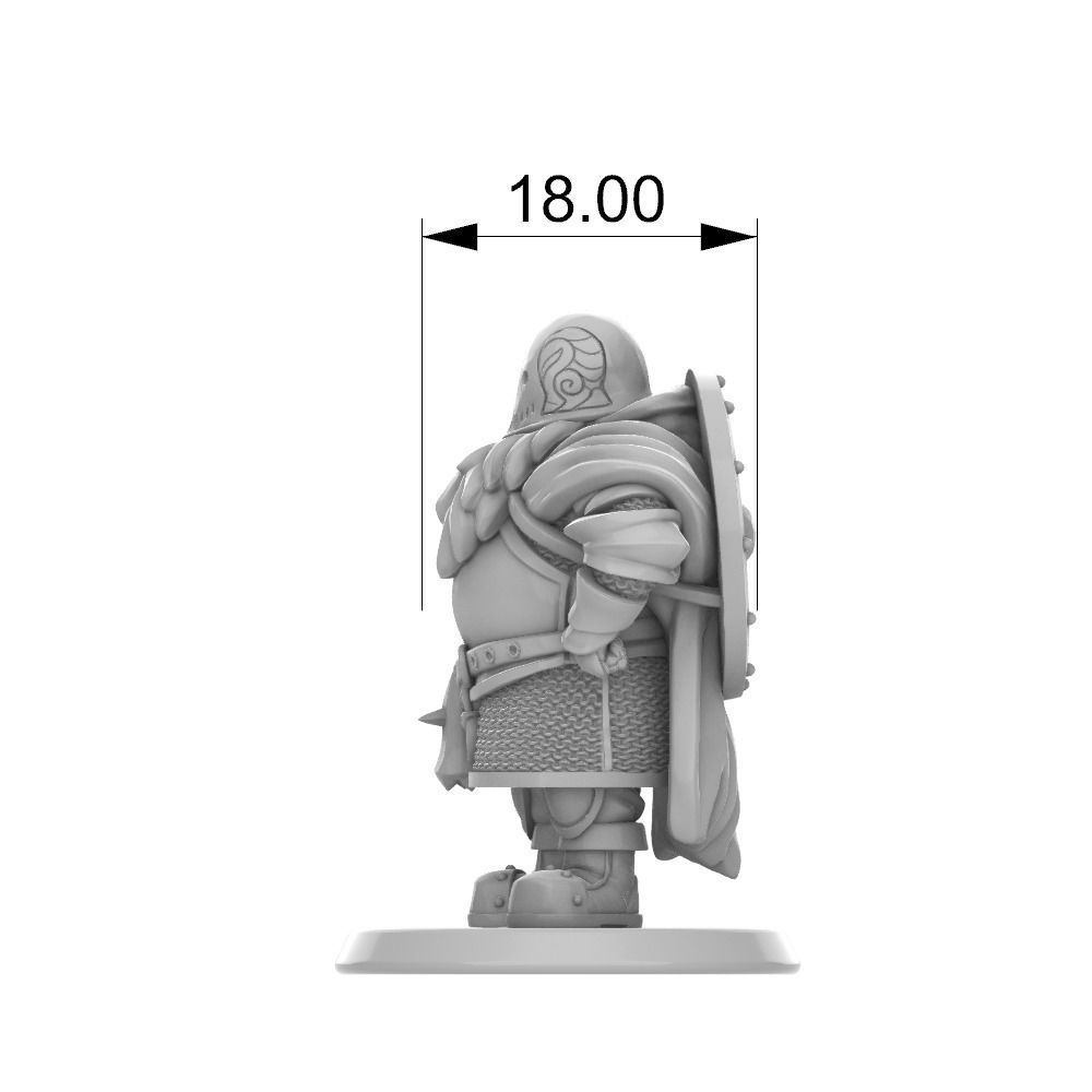 Dwarf cleric fighter 33 mm tabletop miniature 3D print model_17