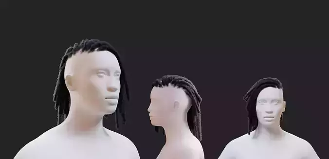 Dreadlocs Side Spill Fade 3D model