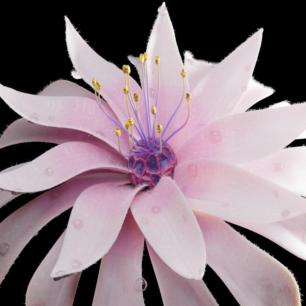 Unique Flower 02 3D model_2