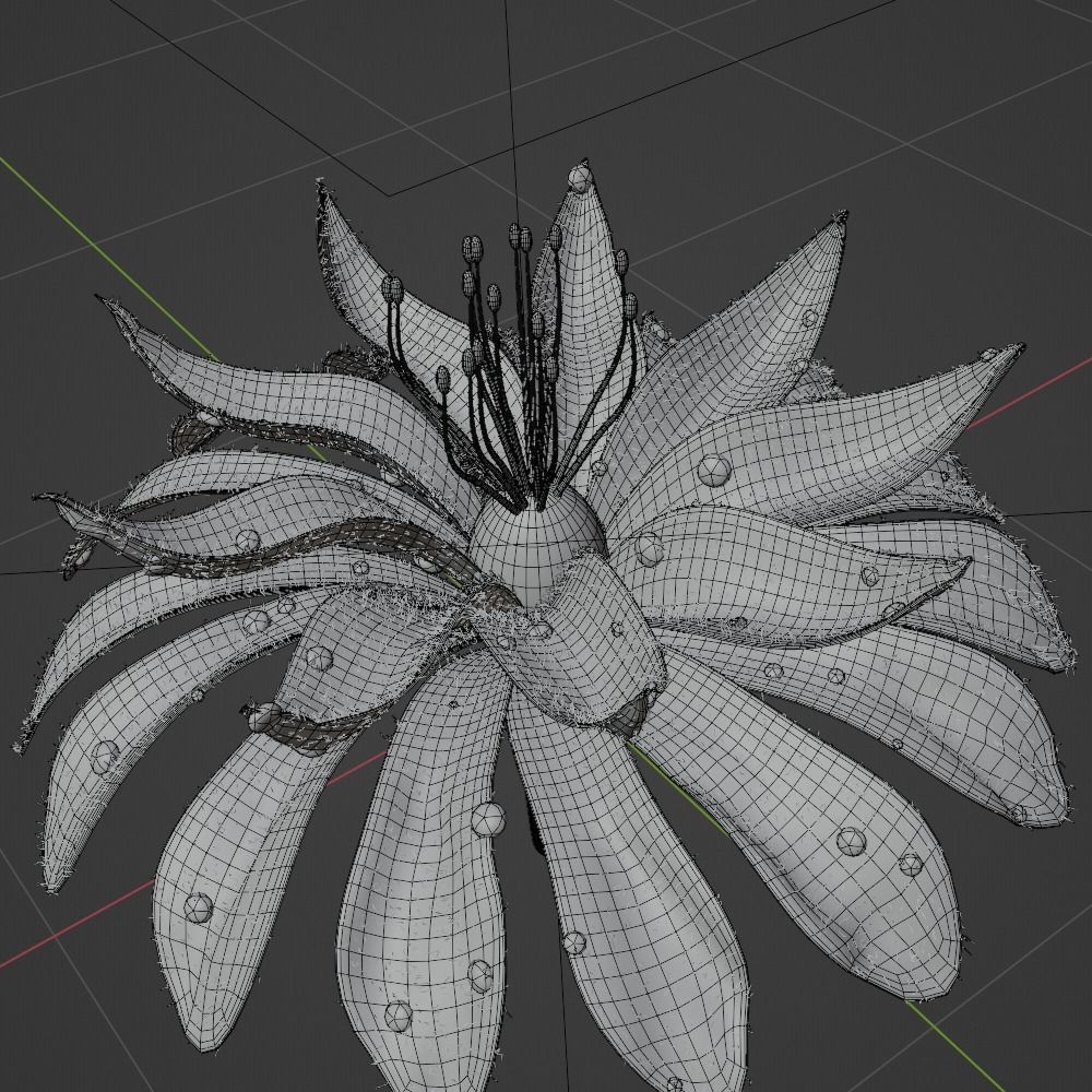 Unique Flower 02 3D model_3