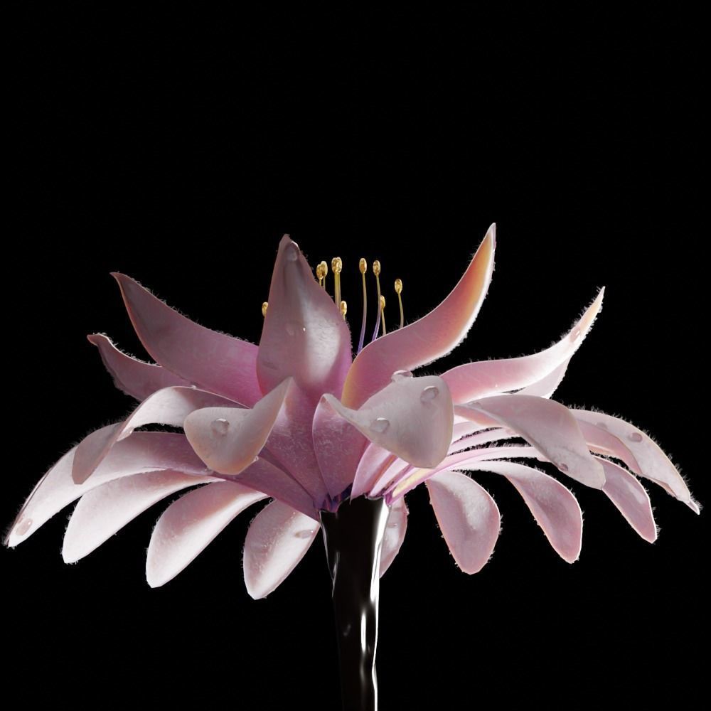 Unique Flower 02 3D model_1