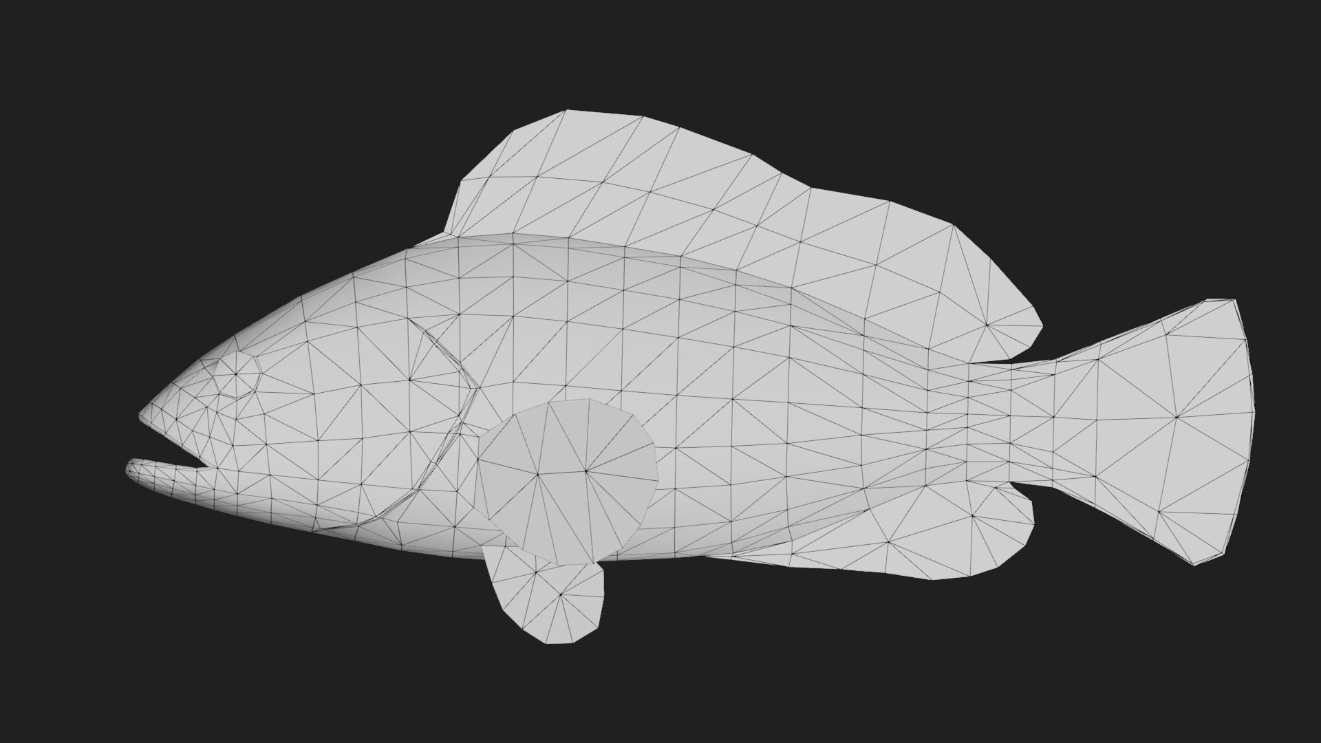 Grouper Low-poly 3D model_1