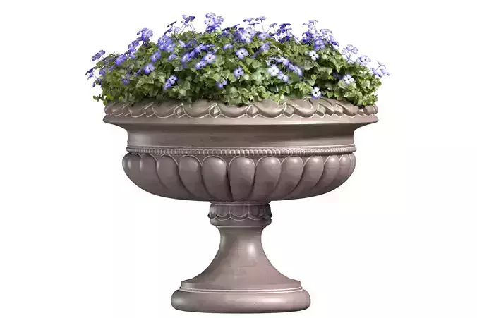 Blue Flowers in container pot