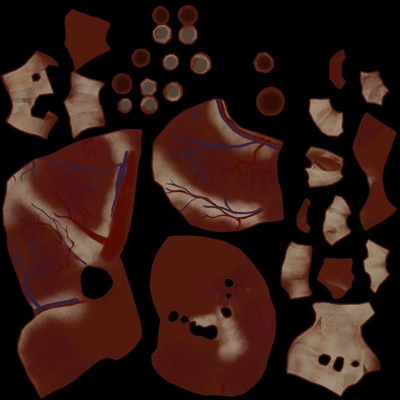 Exposed Heart 3D model_8