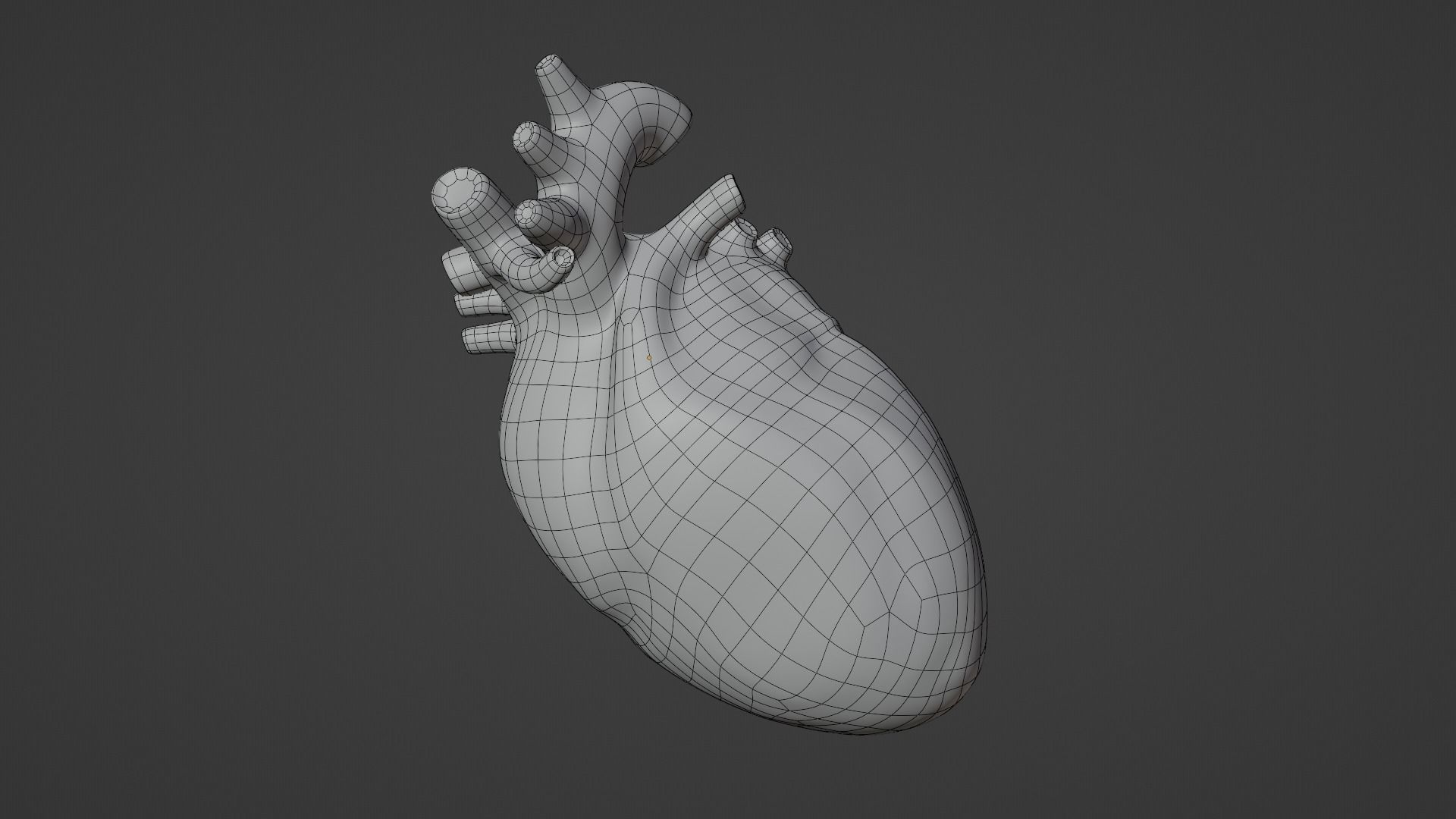 Exposed Heart 3D model_3