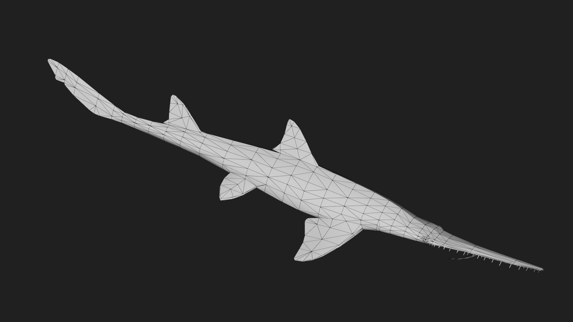Shark Low-poly 3D model_1