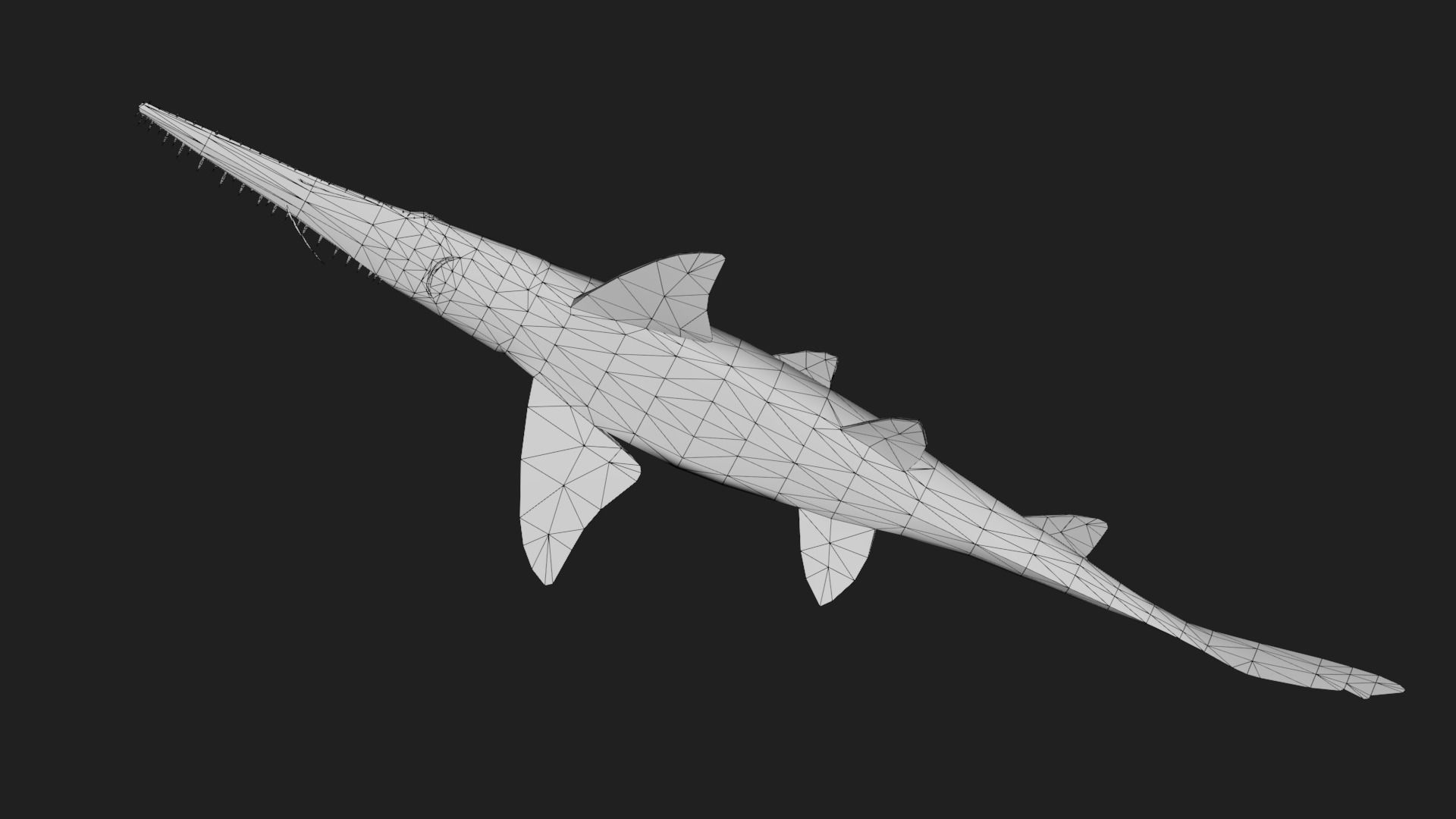 Shark Low-poly 3D model_3