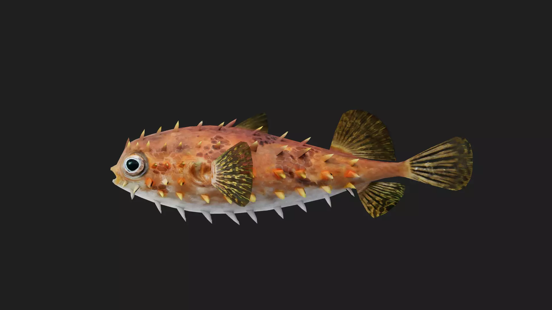 Filefish Low-poly 3D model