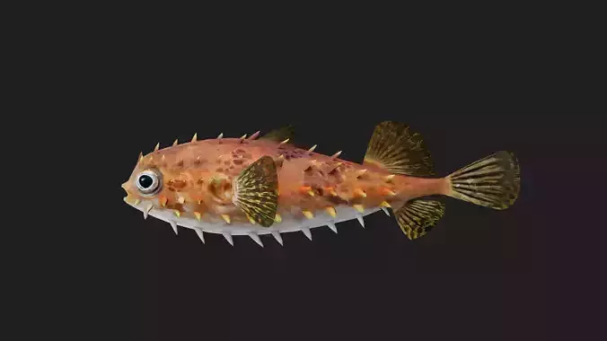 Filefish
