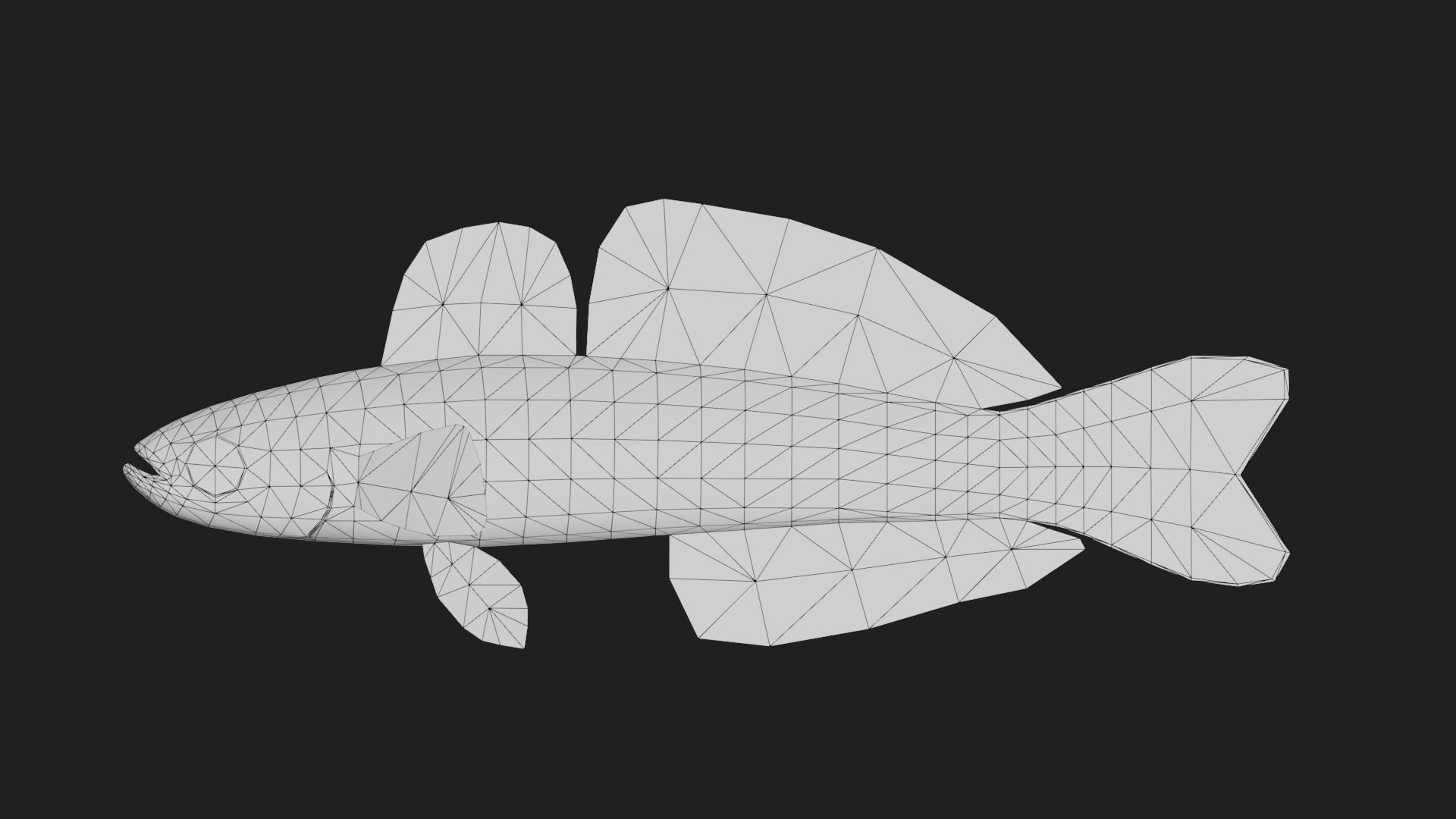 Bass fish Low-poly 3D model_1