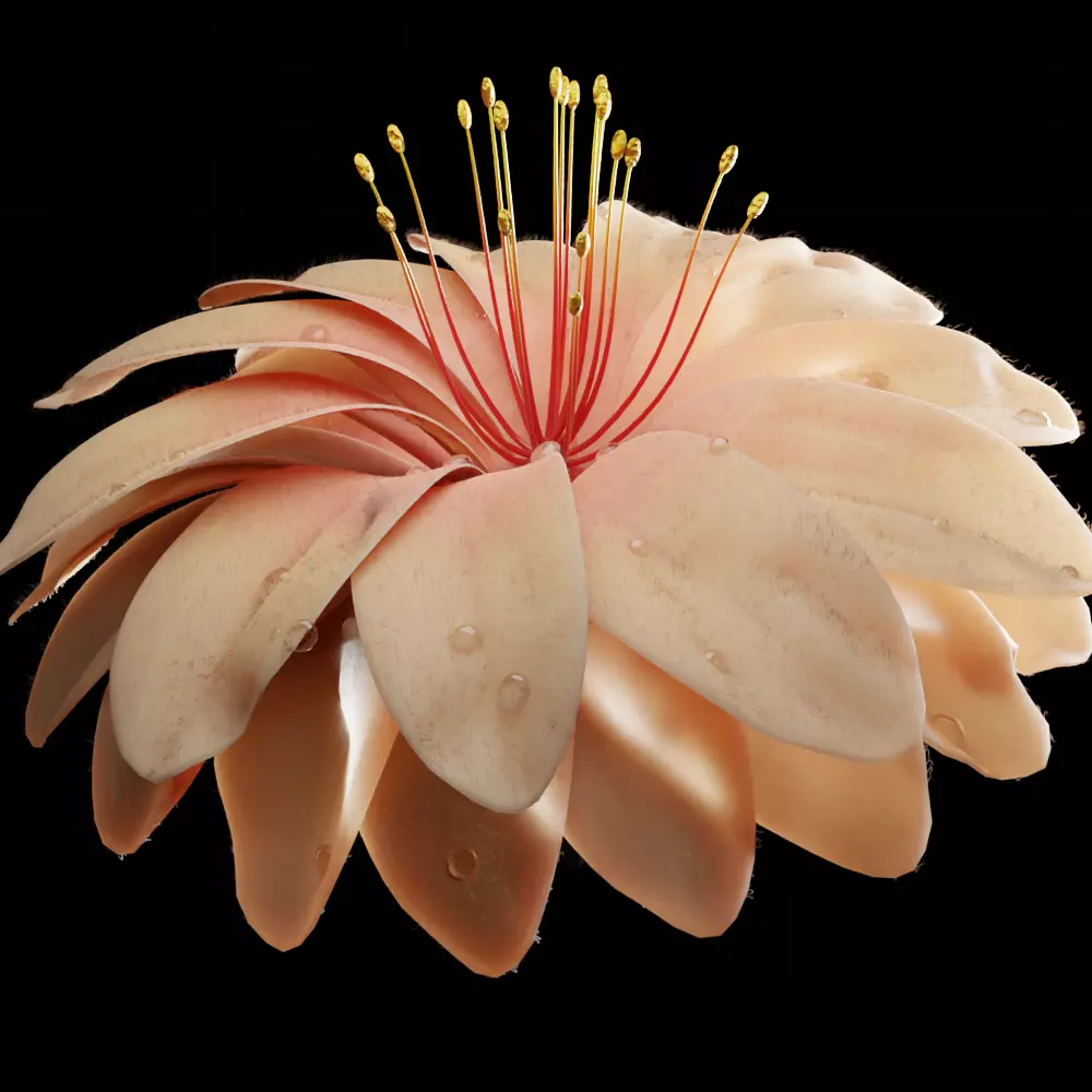 Unique Flower 03 3D model