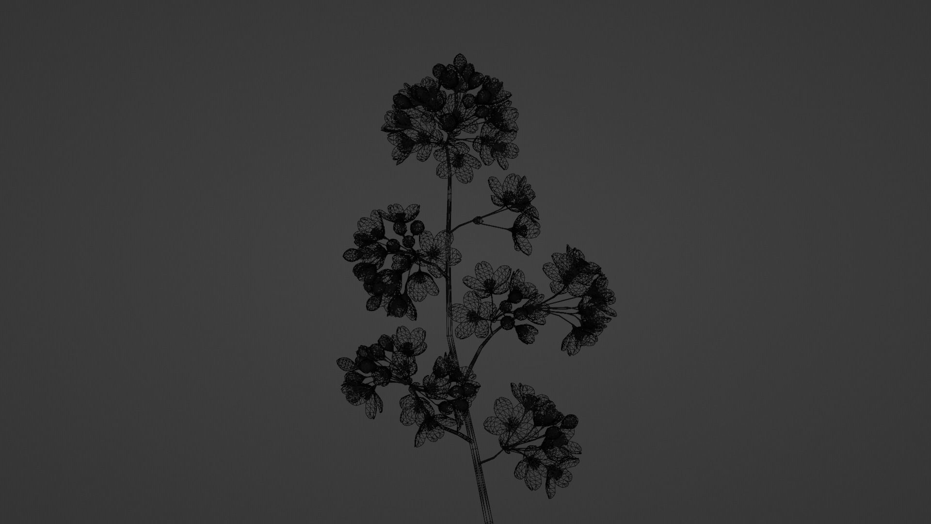 Elegant Japanese Saku Flower Blossoms 3D model_8