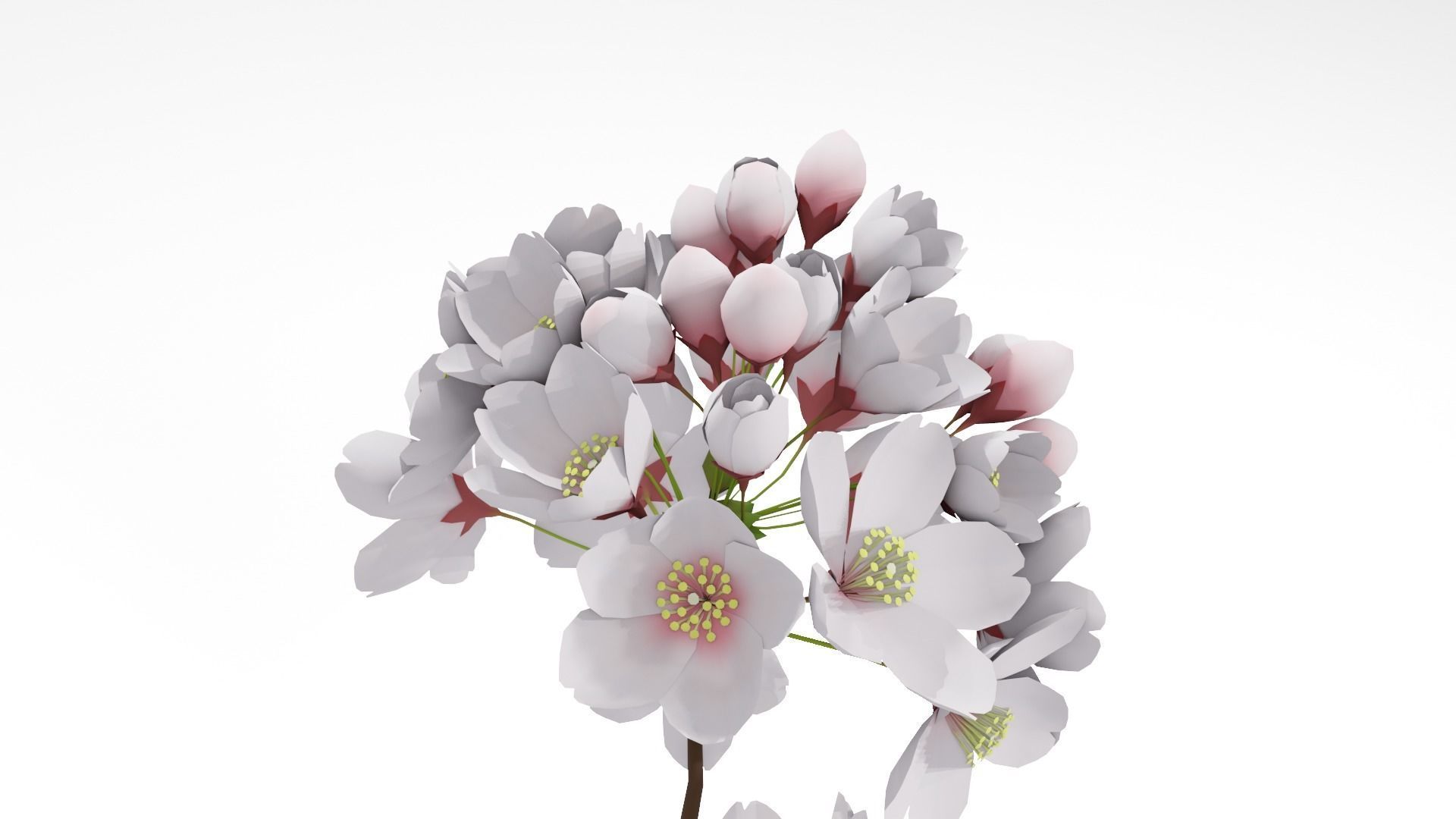 Elegant Japanese Saku Flower Blossoms 3D model_3