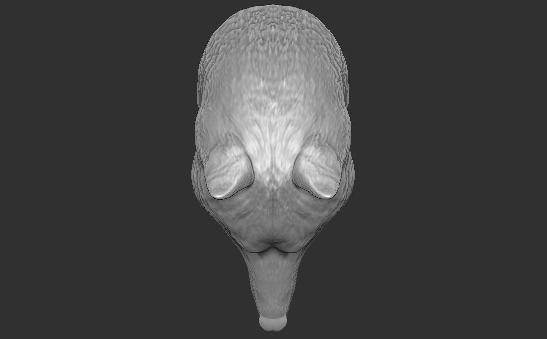 Wolf head for 3D printing 3D print model_23