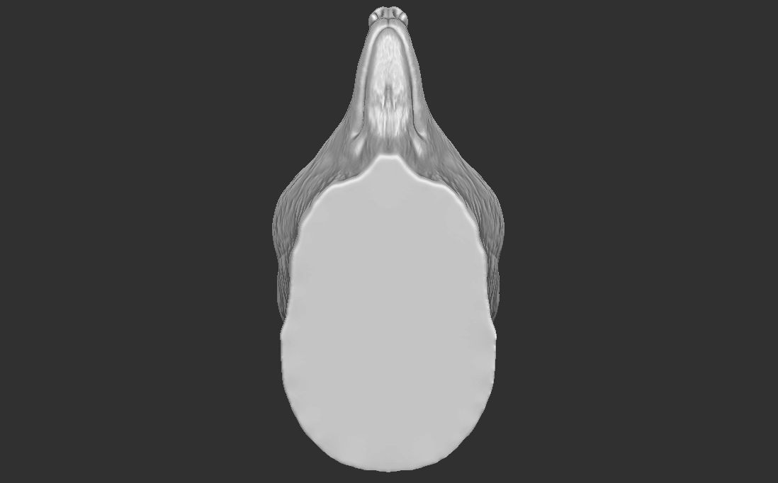 Wolf head for 3D printing 3D print model_24