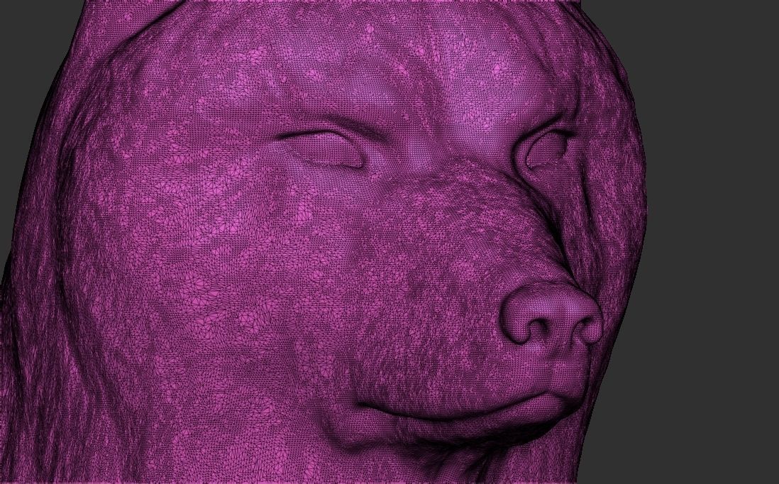 Wolf head for 3D printing 3D print model_25