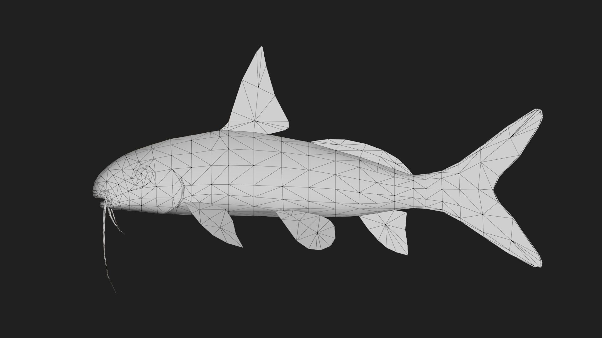 Catfish Low-poly 3D model_1