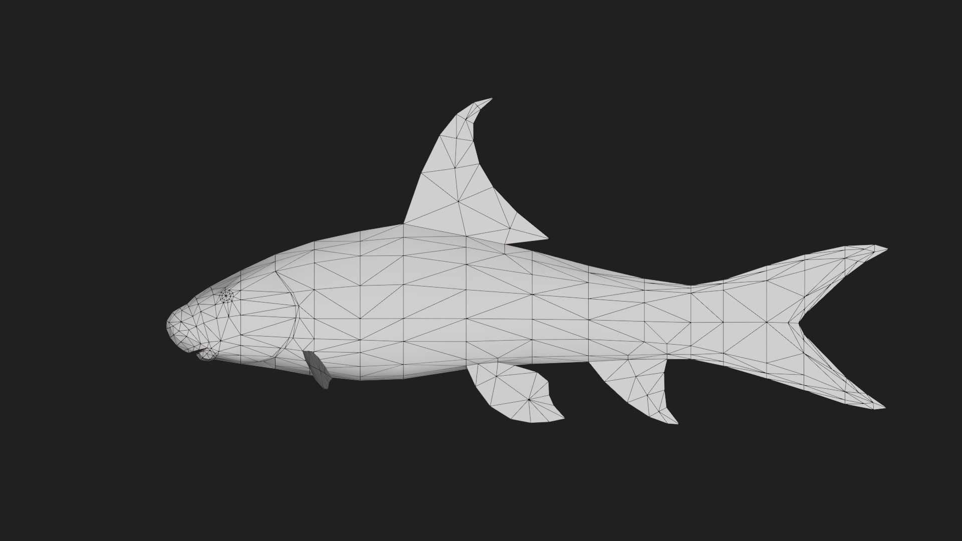 Carp fish Low-poly 3D model_1