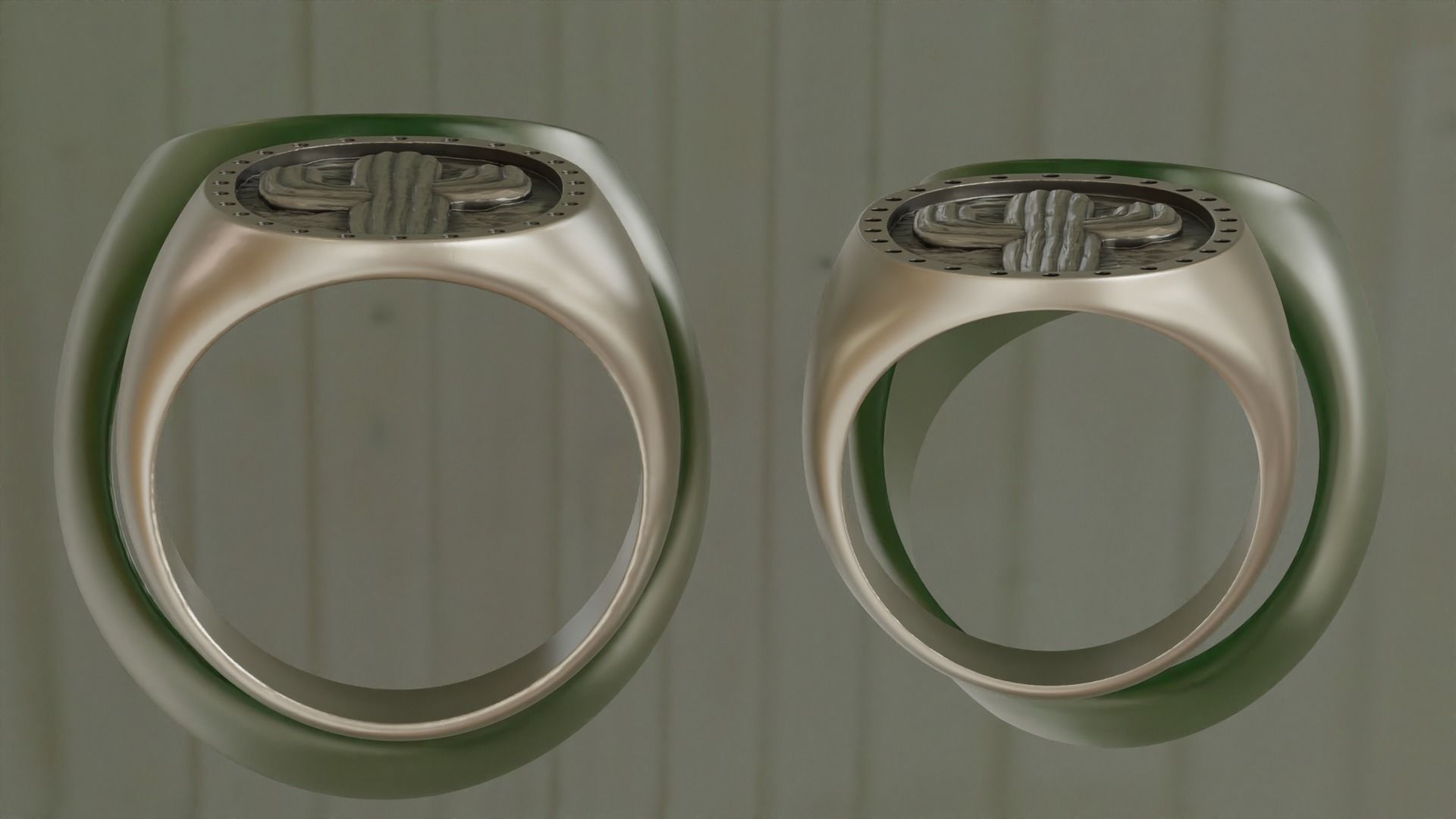 Cactus Signet Ring 3D print model_2