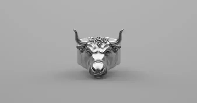Bull Ring 3D print model
