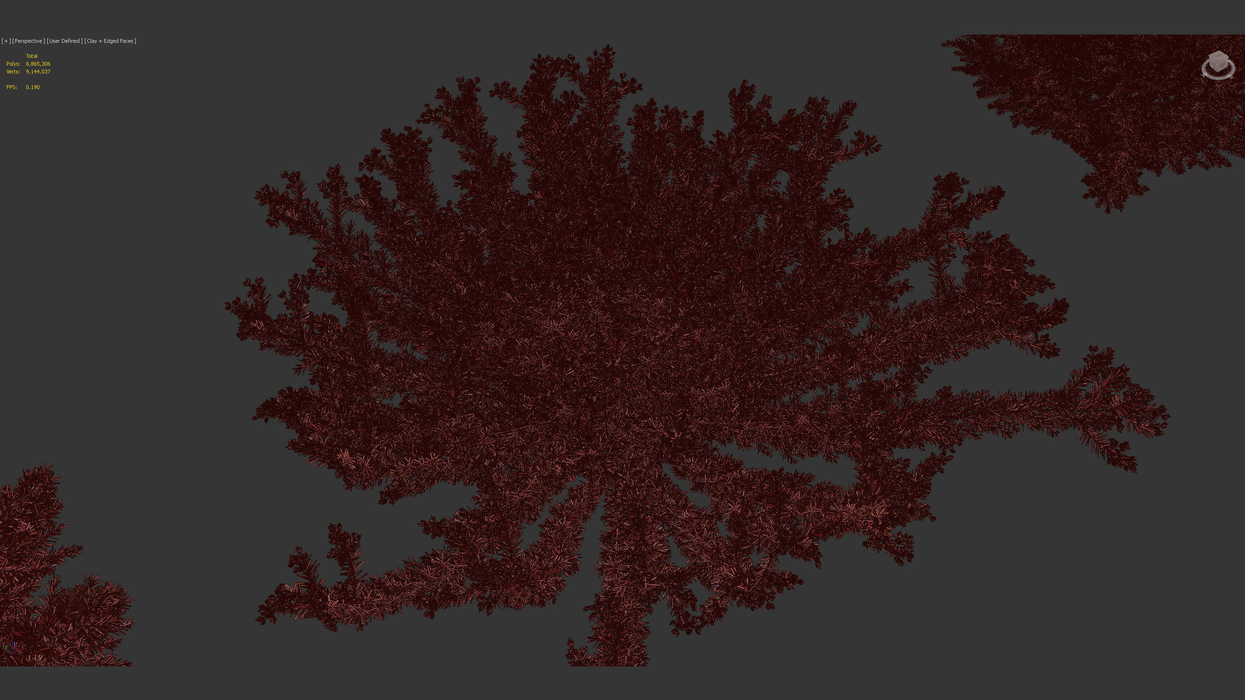 Erica Arborea tree heath  3D model_10