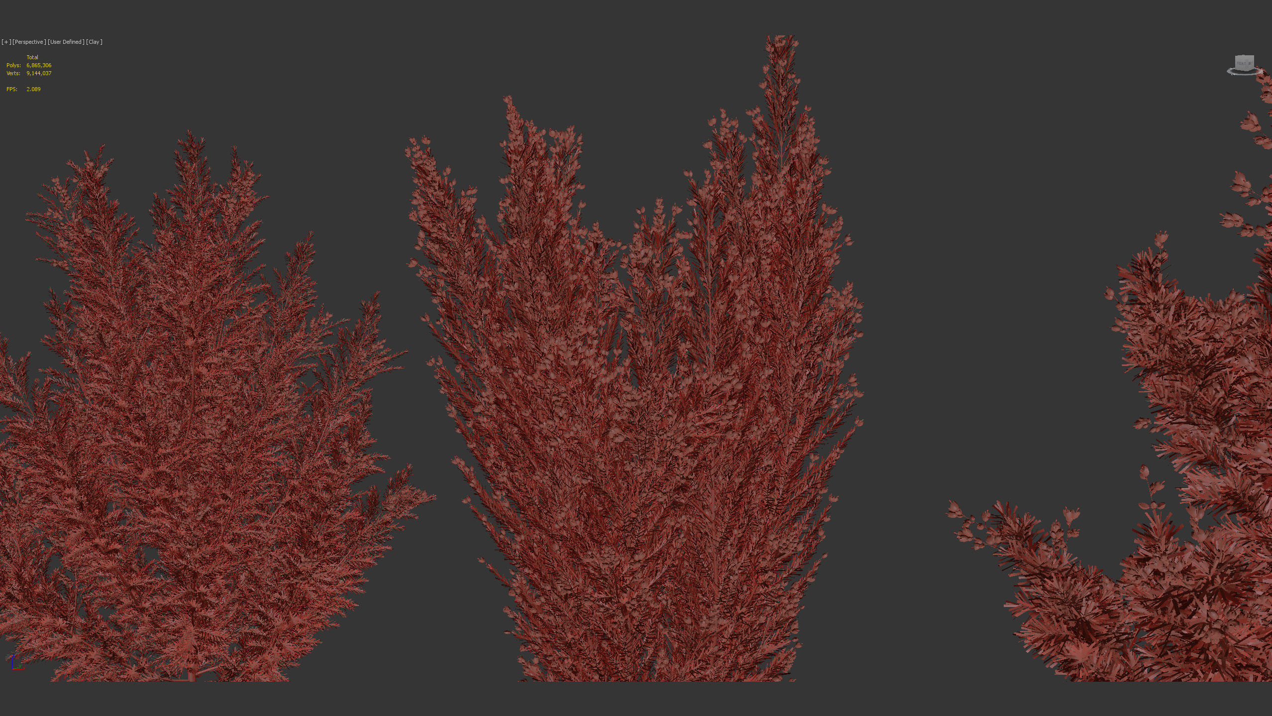 Erica Arborea tree heath  3D model_11