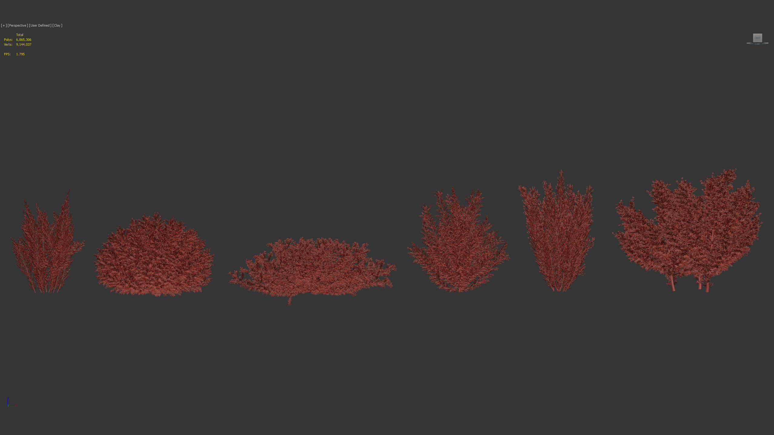 Erica Arborea tree heath  3D model_8