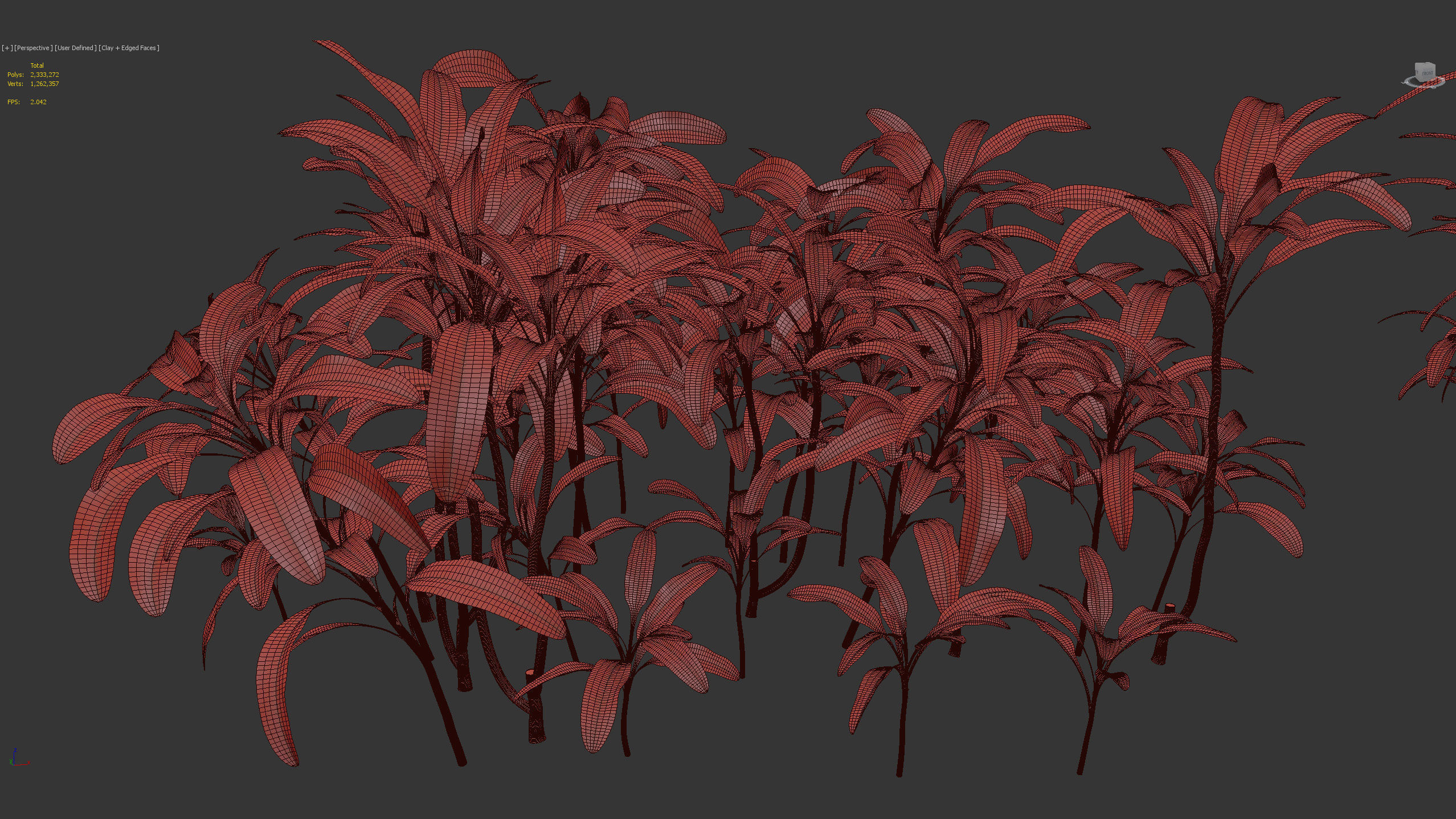 Cordyline rubra palm lily 3D model_10