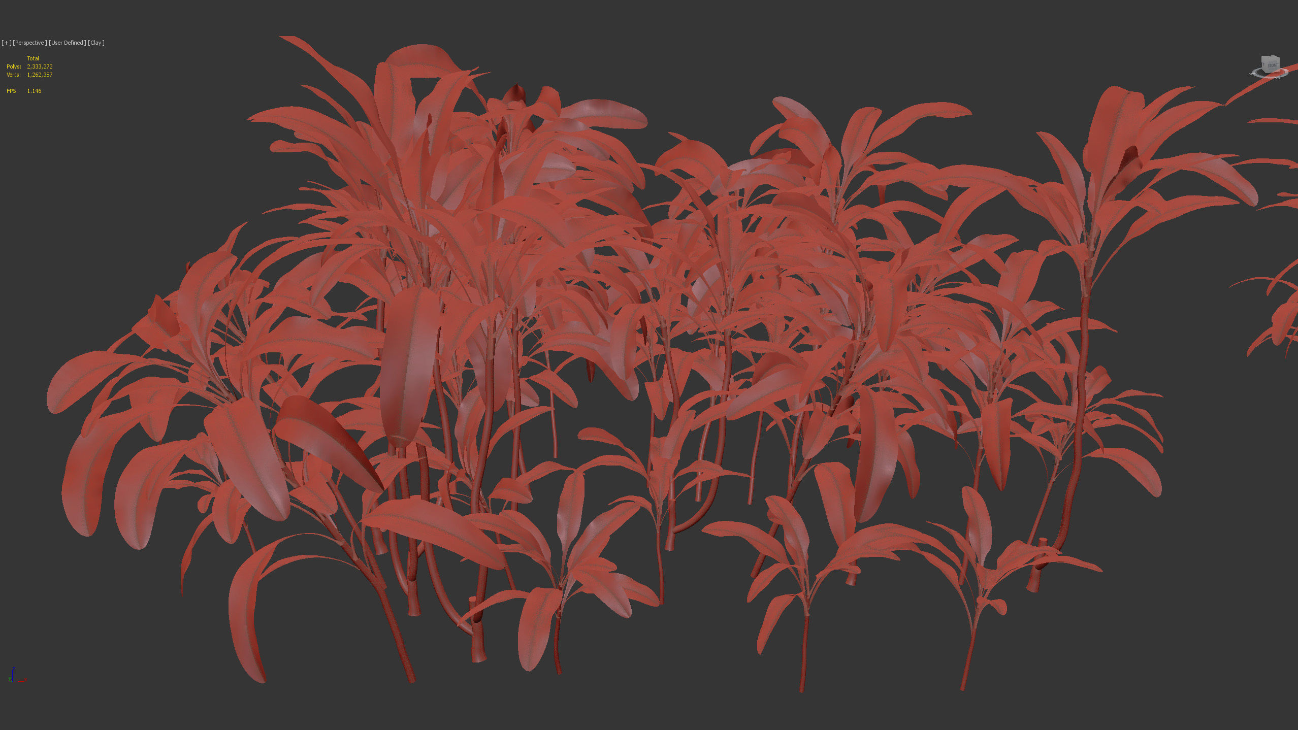 Cordyline rubra palm lily 3D model_9
