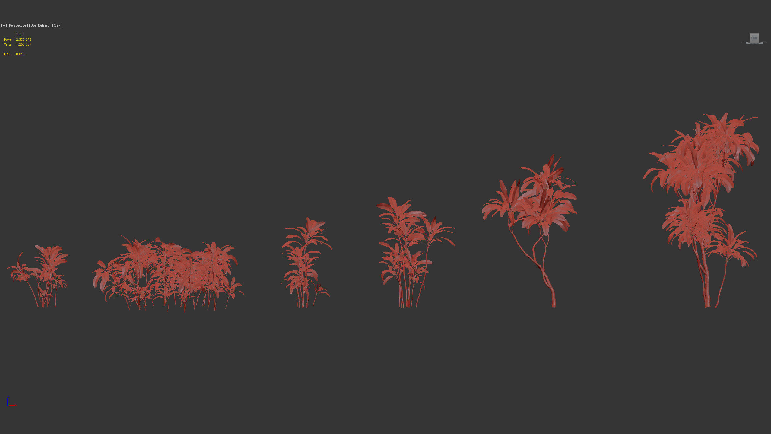 Cordyline rubra palm lily 3D model_8