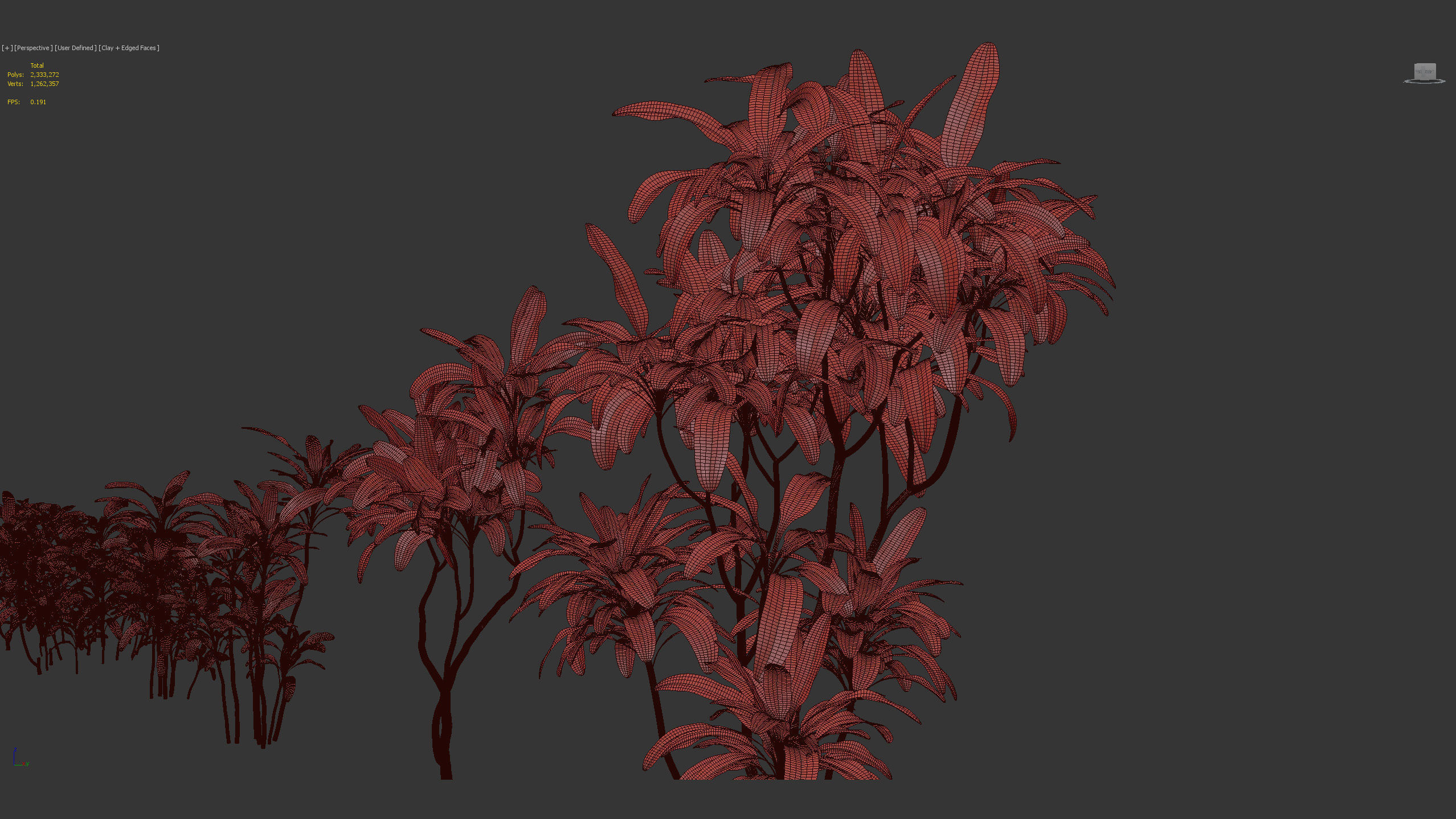 Cordyline rubra palm lily 3D model_12