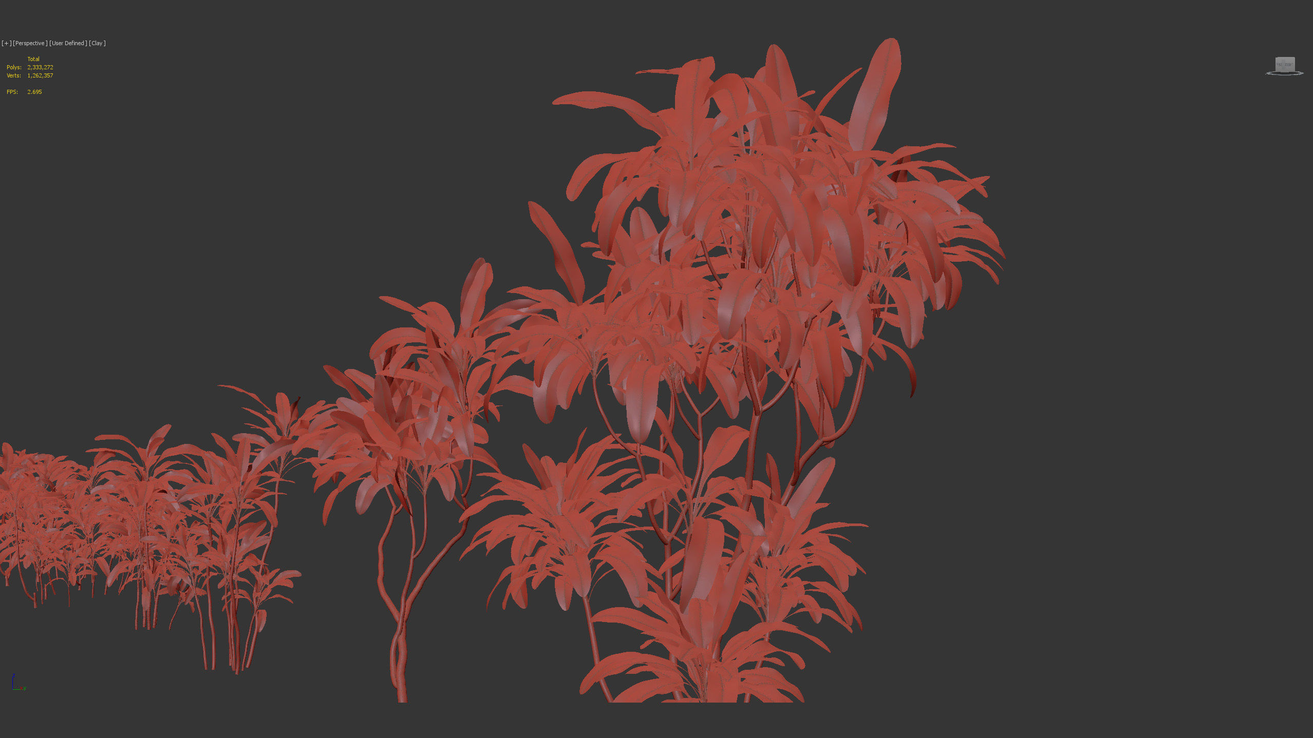 Cordyline rubra palm lily 3D model_11